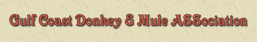 Welcome to the Gulf Coast Donkey  & Mule ASSociation Website!