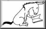 Donkey Reading